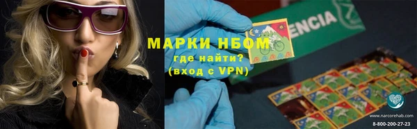 гидра Алексин