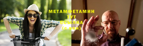 гидра Алексин