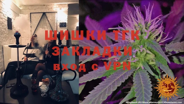 гидра Алексин