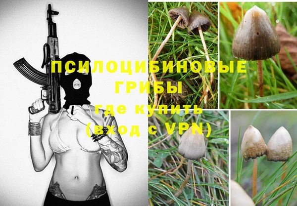 гидра Алексин