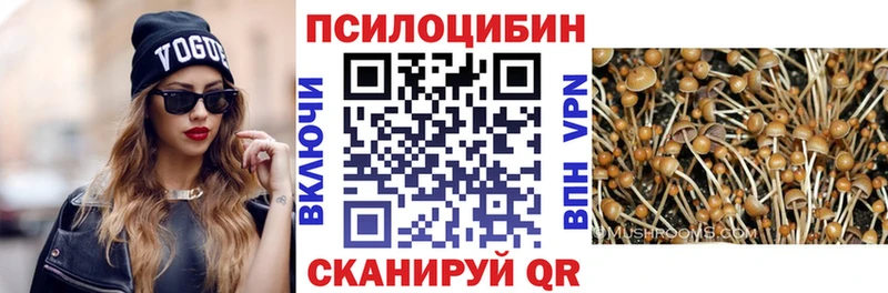 гидра как зайти Алушта Галлюциногенные грибы мухоморы